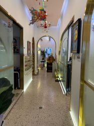 点击看大图 -光SPA科技美肤