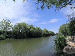 -新江湾城公园