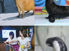 -南昌海洋公园