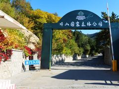 -北京十三陵国家森林公园蟒山景区