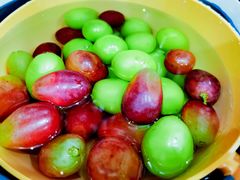 -马陆小张葡萄园农家乐