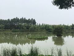 -艾溪湖湿地公园