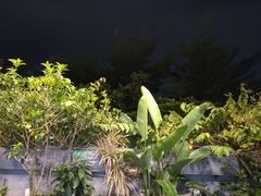 -马家斑.鲜鱼火锅(松湖万科店)