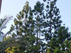 -烈士陵园(地铁站)