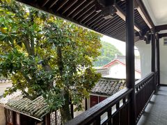 -溪口-滕头旅游景区