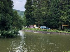 -武陵山森林公园