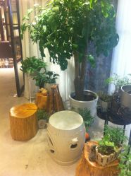点击看大图 IMG_2166-P.STYLE 派斯造型