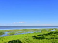 -呼兰河口湿地公园