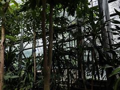 -南山植物园