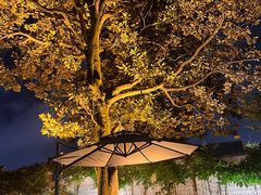 -大可堂普洱茶馆(襄阳南路馆)