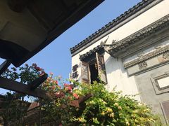 -普洱茶府(博乐广场店)