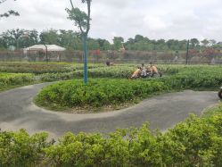 -季高兔窝窝亲子园(上海薰衣草公园店)