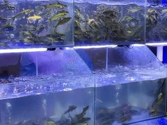 -石锅苗苗鱼(武汉首店)