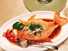 -绿岛国际酒店·海鲜酒楼(八七路店)