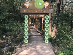 -大岭沟猕猴桃谷风景区