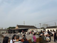 -苏州市吴中区光福窑上花果蜜饯厂