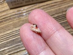 -木柴豆腐·活海鲜·鲁菜(岚山路店)