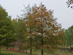-滨湖塘西河公园