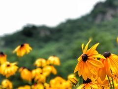 -大连天门山国家森林公园