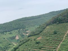 -缥缈峰景区