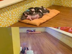 -IPARK购物中心