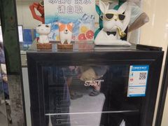 -半岛宠物医院24小时(白果林店)