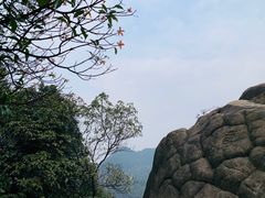 -南山植物园