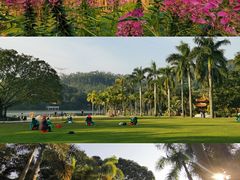 -深圳仙湖植物园