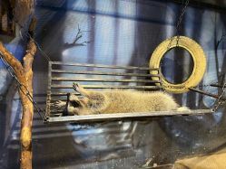 -酷嗒动物文化乐园(cutezoo西溪乐天城店)