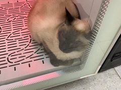 -FAELING PETS美天灵宠物(富力广场店)