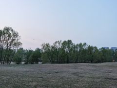 -长白岛森林公园