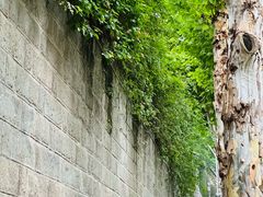 -重庆市江北嘴中央商务区中央公园