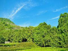 -四门塔风景区