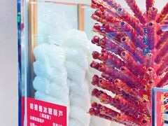 纯冰糖制作糖葫芦-和禄德冰糖葫芦(东四朝内菜市场店)