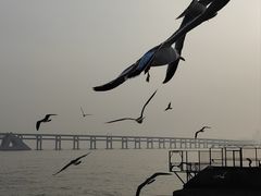 -星海广场