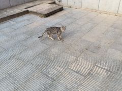 -隐食私房菜(渡口·光荣院南门·老街店)