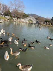 -玄武湖景区-情侣园游乐场