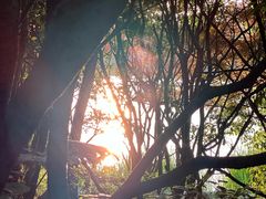 -长广溪湿地公园