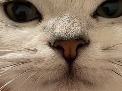 -菲尔斯特宠物医院