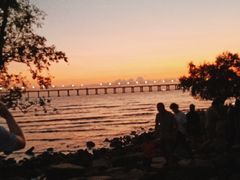 -宝安西湾红树林湿地公园