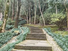 -灵栖洞天