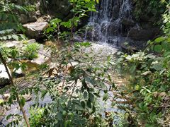 -藏龙百瀑风景区