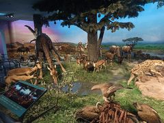 -国家自然博物馆