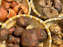 -阿山卓·野生菌火锅·纳西火塘烤肉