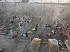 -水磨沟公园