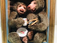 -济州岛泰迪熊博物馆