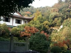 android_upload_pic-十八棵（老龙井）御茶园(老龙井店)