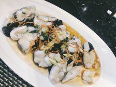 -新兴·金羊座·粤菜点心(乐峰店)