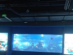 -重庆欢乐海底世界