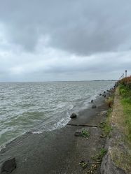 -水八仙生态园